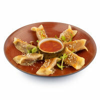 Japāņu pelmeņi Gyoza ar pīles gaļu